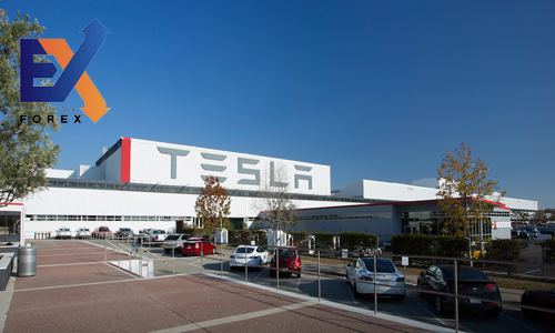 Tesla săn lùng giám đốc thiết kế để tạo ra ô tô cho Trung Quốc