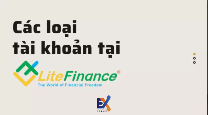 Bạn phù hợp với loại tài khoản giao dịch Forex LiteFinance nào?