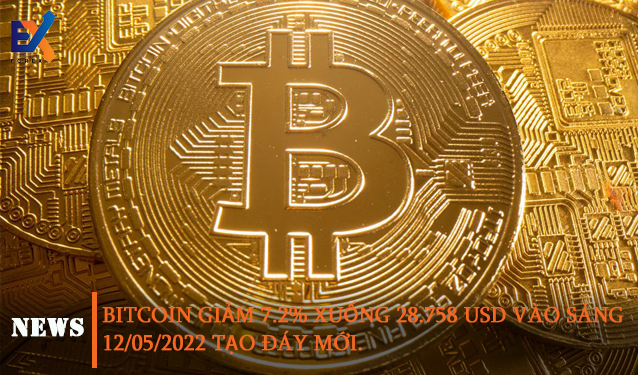 Bitcoin giảm 7,2% xuống 28.758 USD tạo đáy mới 12/05/2022